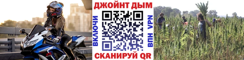 где найти наркотики  Княгинино  МЕГА ТОР  Конопля план 